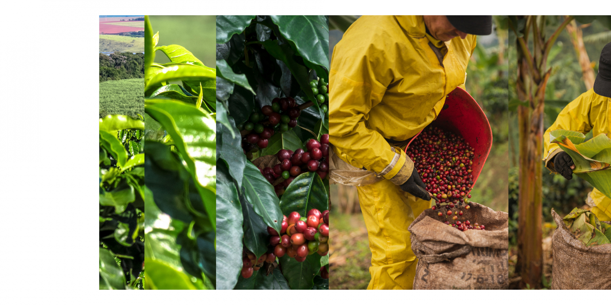 Design erfahre mehr 1